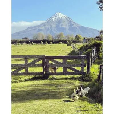About Volcanoview